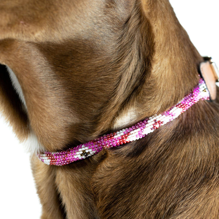 Melrose Sambboho dog collar (rolled)