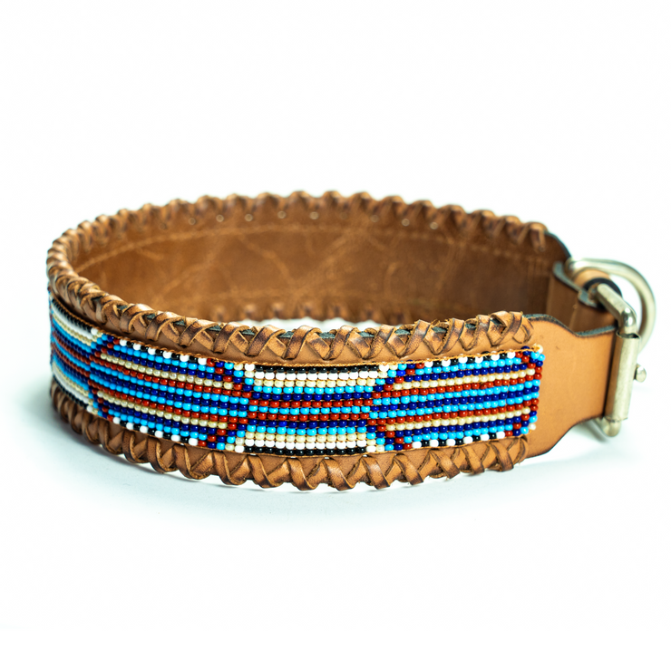 Matching leash/dog collar Rio Sambboho Bundle