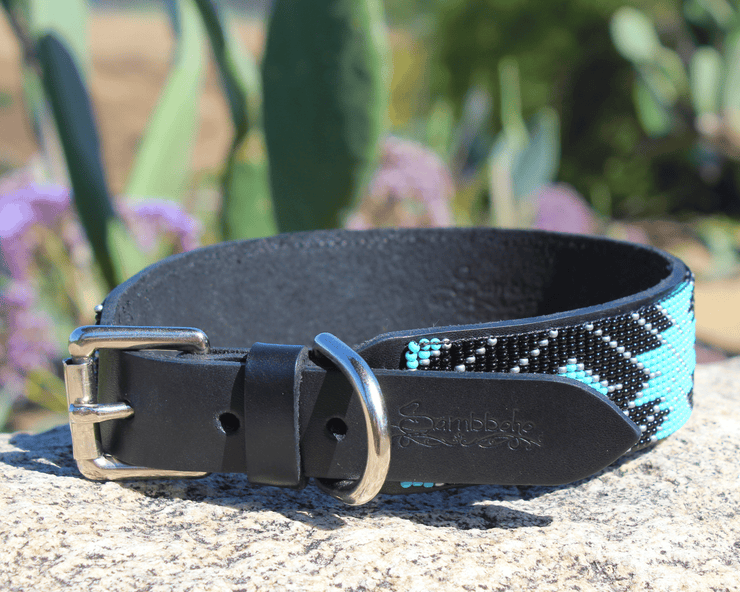 Saint Barth dog collar/hatband bundle