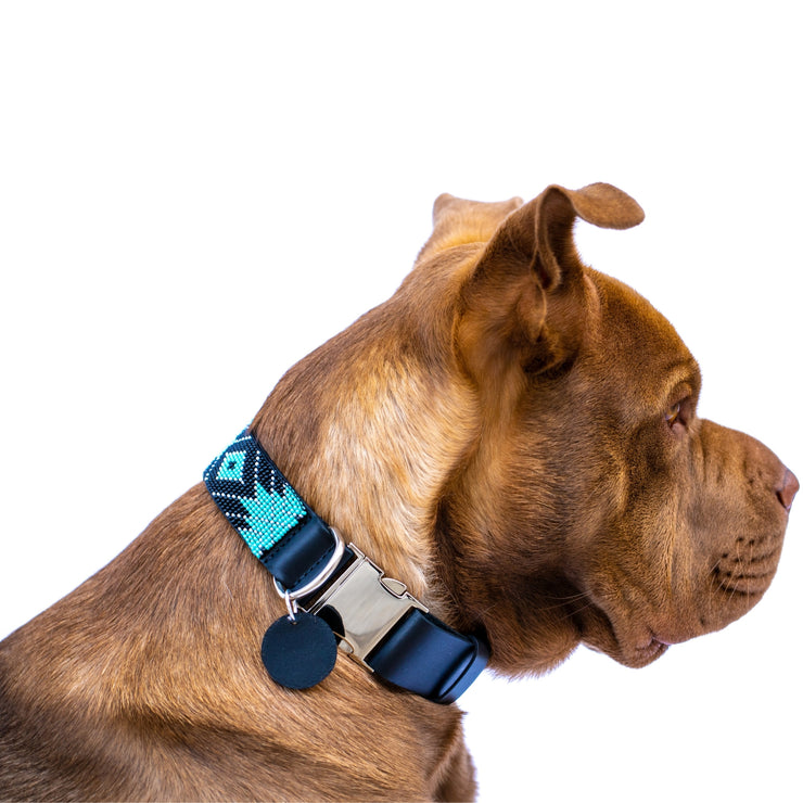 Saint Barth dog collar (quick release)