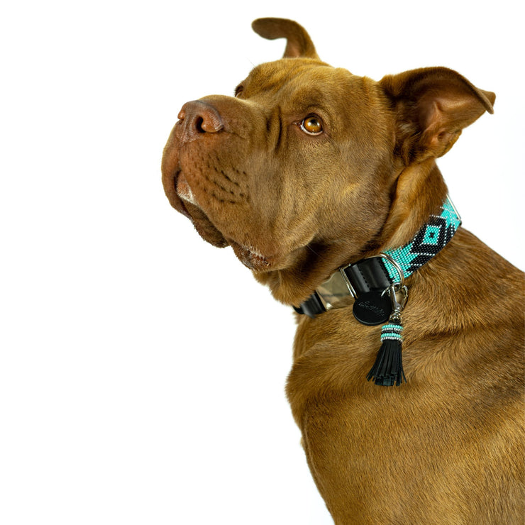 Saint Barth Dog Collar (Quick Release) and Tassel Bundle