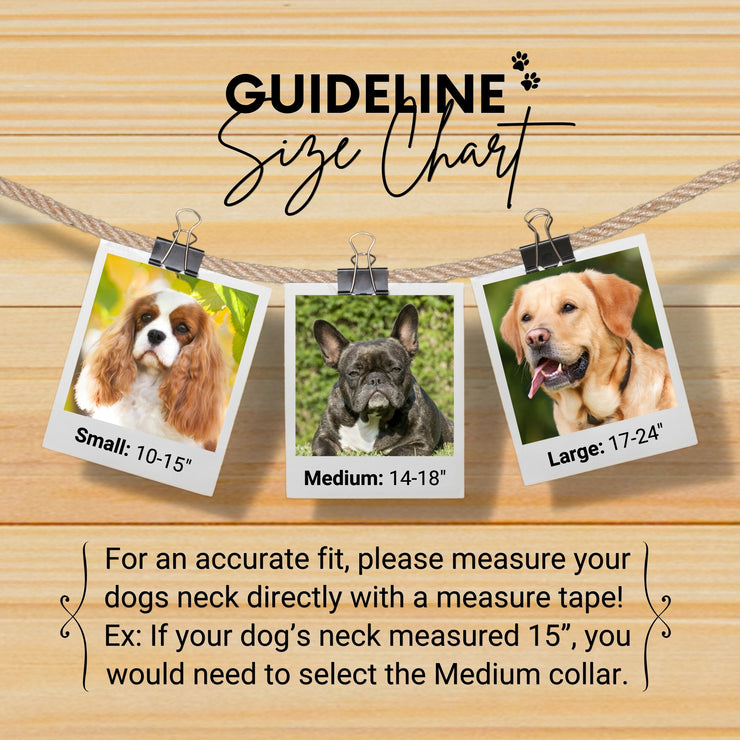 Melrose dog collar (quick release)