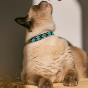 Saint Barth Sambboho cat collar