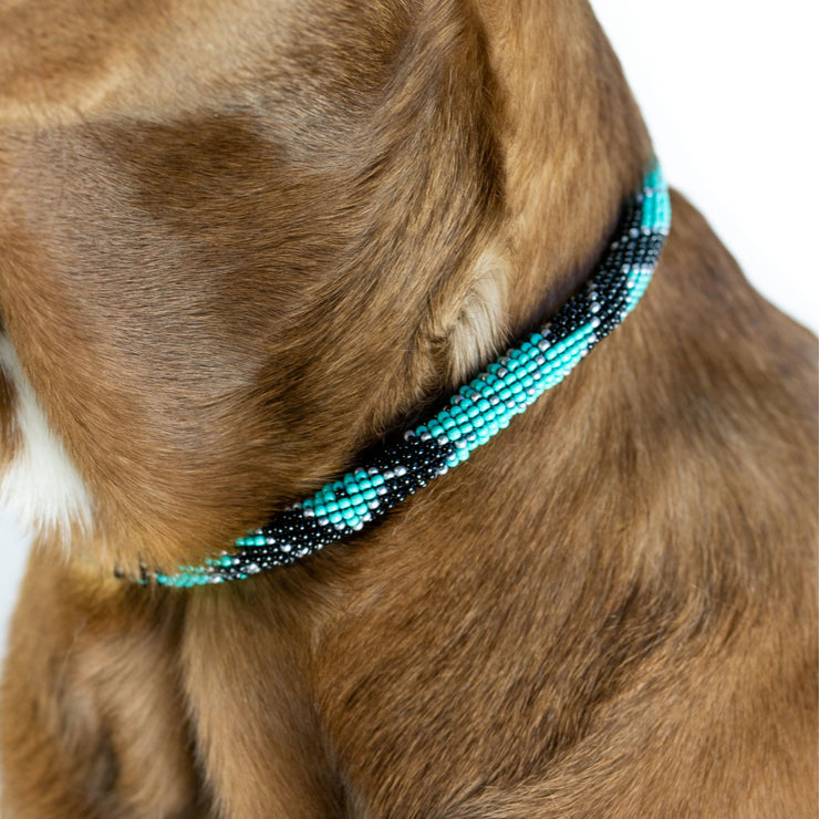 Saint Barth Sambboho dog collar (rolled)