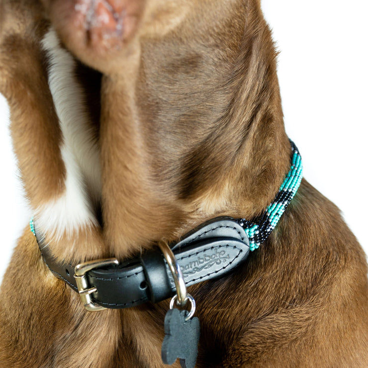 Saint Barth Sambboho dog collar (rolled)