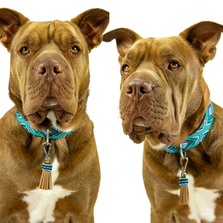 Saint Tropez Dog Collar and Tassel Bundle