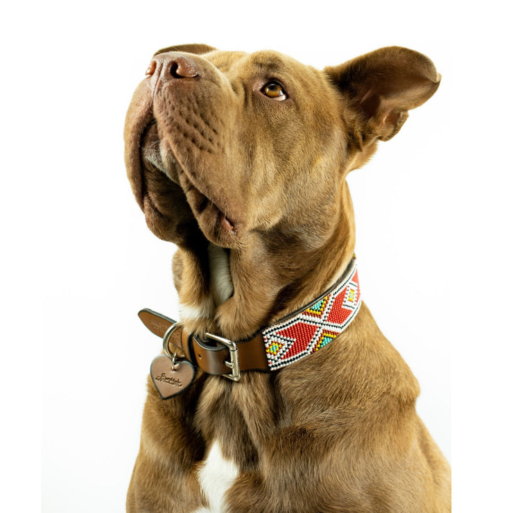 Valencia Sambboho dog collar (made to order)